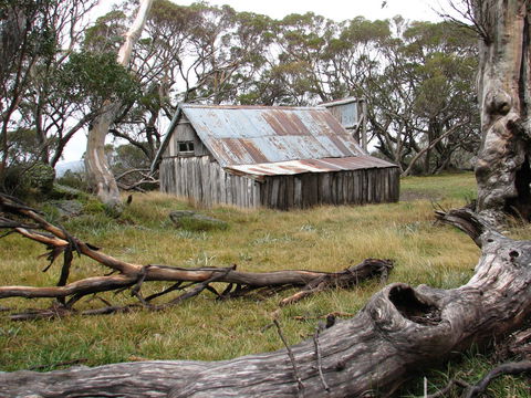 Allamar Motel - Accommodation China 42