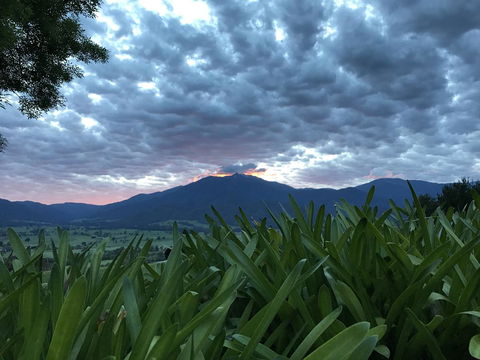 Allamar Motel - Accommodation China 4