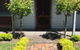 Airleigh-Rose Cottage - thumb 3