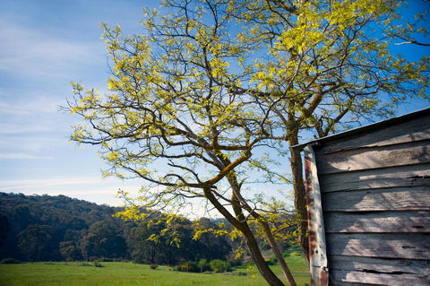 Cabrito - Accommodation Asia 9