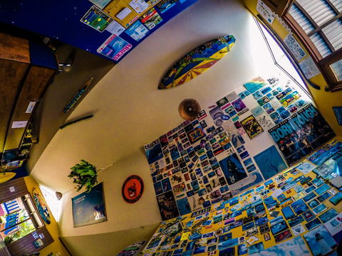 Cool Bananas Backpackers - Accommodation Asia 29