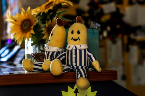 Cool Bananas Backpackers - Accommodation Asia 30