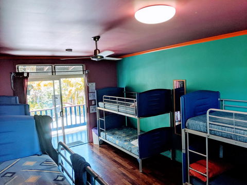 Cool Bananas Backpackers - Accommodation Asia 5