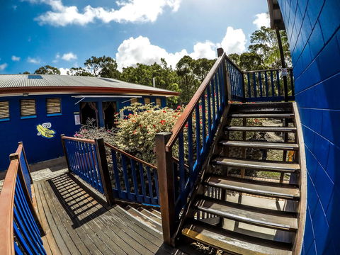 Cool Bananas Backpackers - Accommodation Asia 27