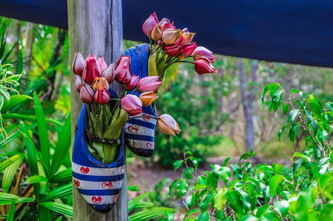Cool Bananas Backpackers - Accommodation Asia 26
