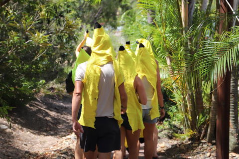 Cool Bananas Backpackers - Accommodation Asia 19