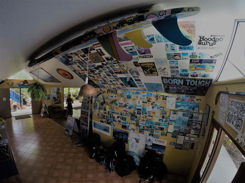 Cool Bananas Backpackers - Accommodation Asia 31