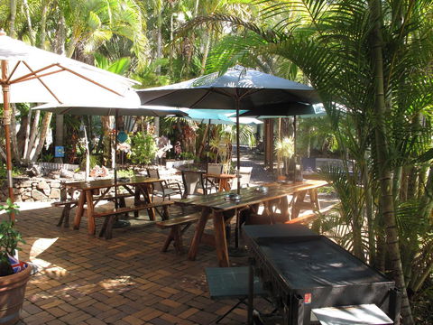Cool Bananas Backpackers - Accommodation Asia 16