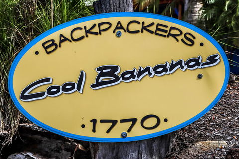 Cool Bananas Backpackers - Accommodation Asia 38