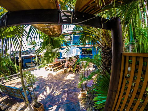 Cool Bananas Backpackers - Accommodation Asia 0