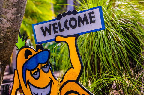 Cool Bananas Backpackers - Accommodation Asia 37