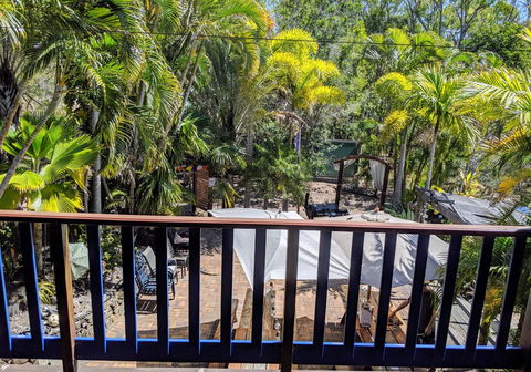Cool Bananas Backpackers - Accommodation Asia 4
