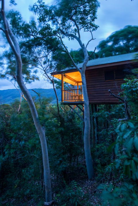 Thala Beach Nature Reserve - Accommodation Asia 19