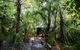 Thala Beach Nature Reserve - thumb 21
