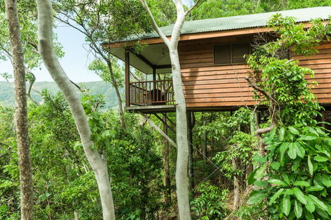 Thala Beach Nature Reserve - Accommodation Asia 17