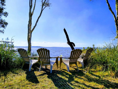 Lake Weyba Noosa Lodge & Kangaroos - Accommodation Asia 44