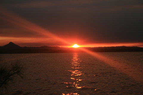 Lake Weyba Noosa Lodge & Kangaroos - Accommodation Asia 41