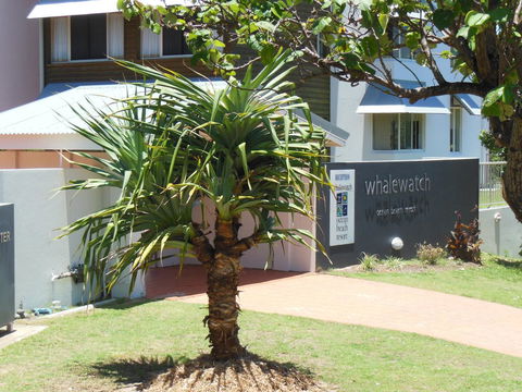 Whale Watch Ocean Beach Resort - Accommodation Asia 15
