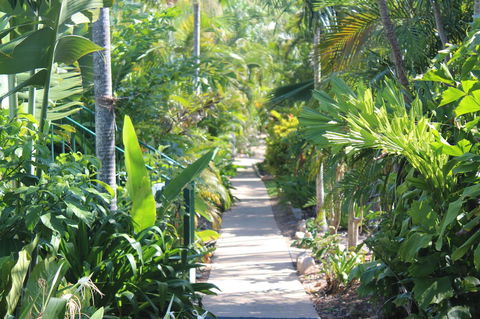Amaroo On Mandalay, Magnetic Island - Accommodation Guide 23
