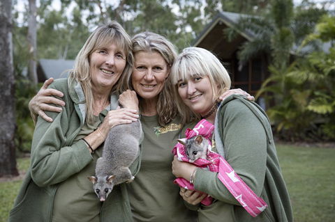 Airlie Beach Eco Cabins - Adults Only - Accommodation Asia 23