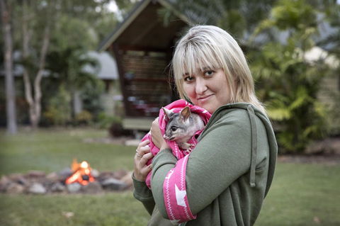 Airlie Beach Eco Cabins - Adults Only - Accommodation Asia 31