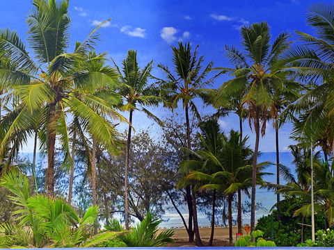 By The Sea Port Douglas - Accommodation Asia 3