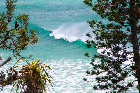 Rainbow Bay Backpackers - Accommodation Asia 15