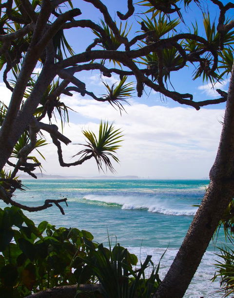 Rainbow Bay Backpackers - Accommodation Asia 25