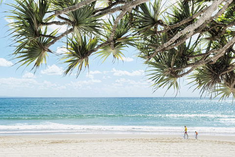Netanya Noosa Beachfront Resort - Accommodation Asia 38