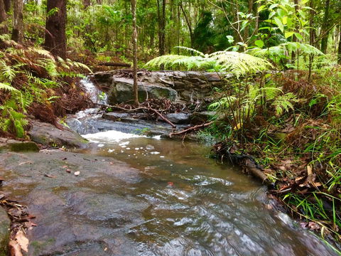 Noosa Hinterland Retreat - Accommodation Asia 12