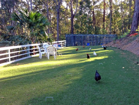 Noosa Hinterland Retreat - Accommodation Asia 11