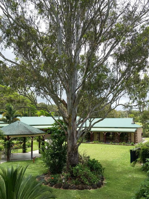 The Bearded Dragon Boutique Hotel - Accommodation Asia 32