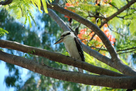 Sanctuary Palm Cove - Accommodation China 7
