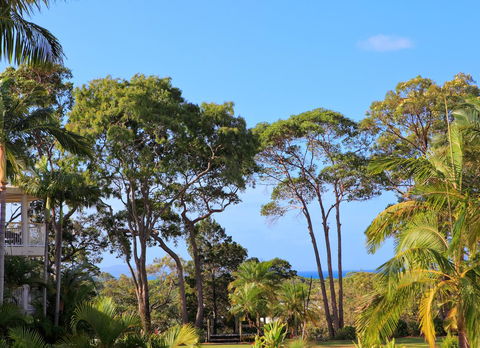 Serenity Apartments Noosa - Accommodation Asia 26