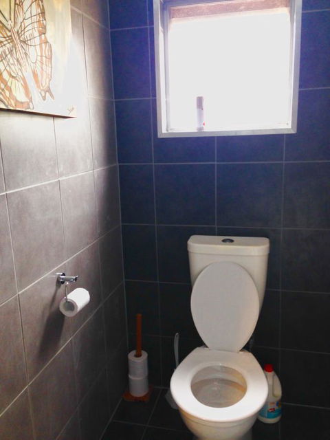 XYL Pets Friendly Seaside Boutique Guesthouse - Accommodation Asia 5