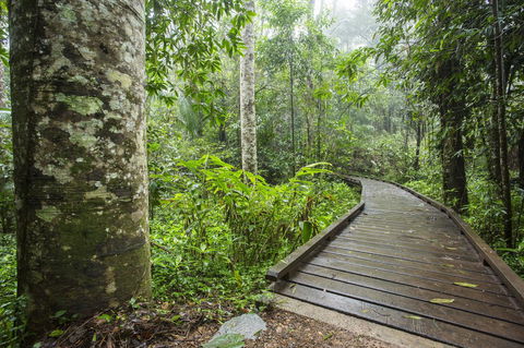 Riviera Mackay - Accommodation China 25