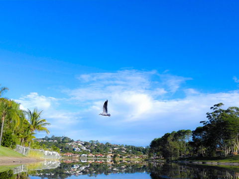 Bay Of Palms - Accommodation China 18