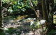 Boutique Bungalows - thumb 18