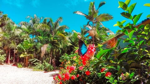 Boutique Bungalows - Accommodation Asia 14