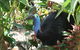 Boutique Bungalows - thumb 16