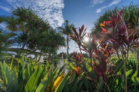 Currumbin Sands On The Beach - Accommodation Asia 9