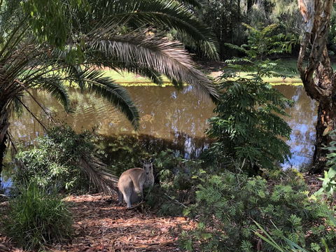 Waterfront Resort Villa With Buggy - Accommodation Asia 25