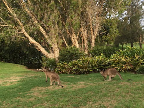 Waterfront Resort Villa With Buggy - Accommodation Asia 19