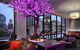 Sofitel Brisbane Central - thumb 40
