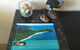 Black Marlin Motel - thumb 21