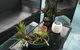 Black Marlin Motel - thumb 3