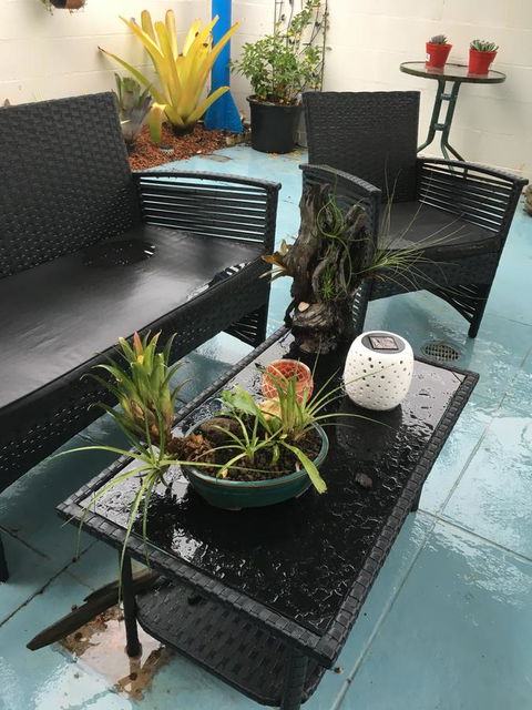 Black Marlin Motel - Accommodation Asia 3