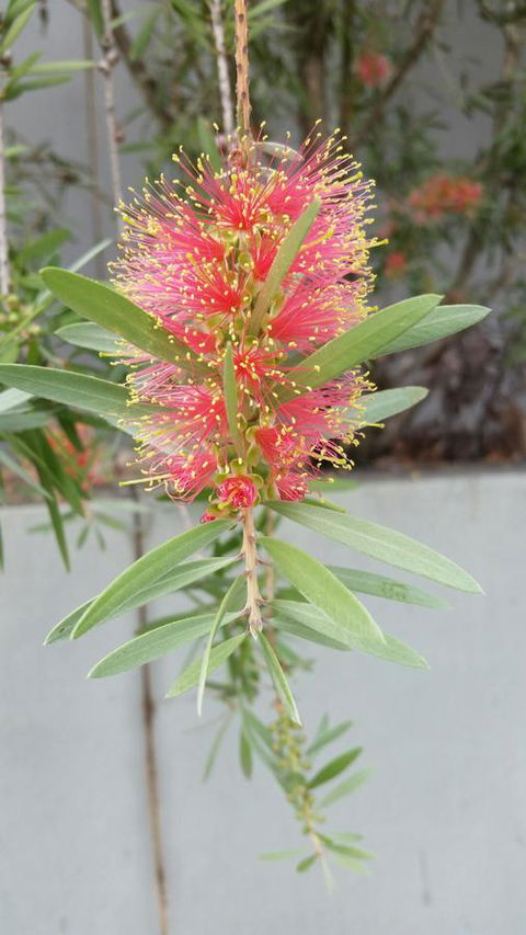 VILY Place - Accommodation Guide 11