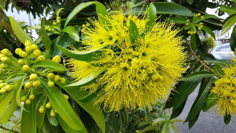 VILY Place - Accommodation Guide 12