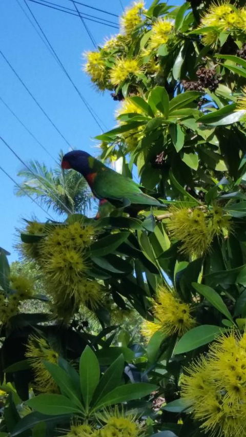 VILY Place - Accommodation Guide 14